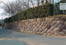 大知波石の石垣